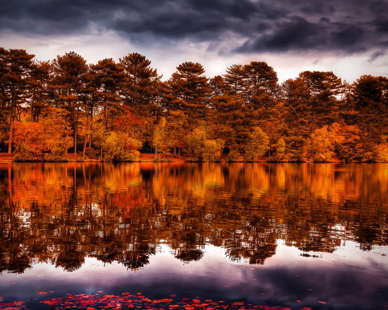 El agua y los árboles en otoño fondos de pantalla HD #13 - 1280x1024