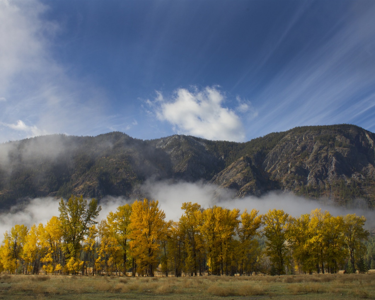 Foggy autumn leaves and trees HD wallpapers #9 - 1280x1024