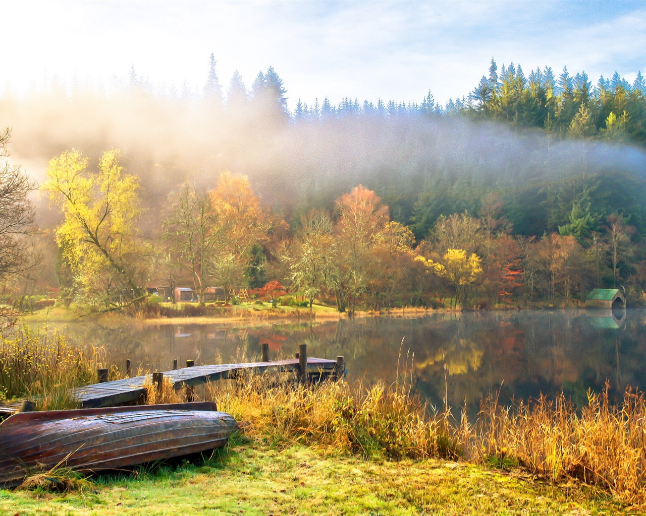 Foggy autumn leaves and trees HD wallpapers #14 - 1280x1024