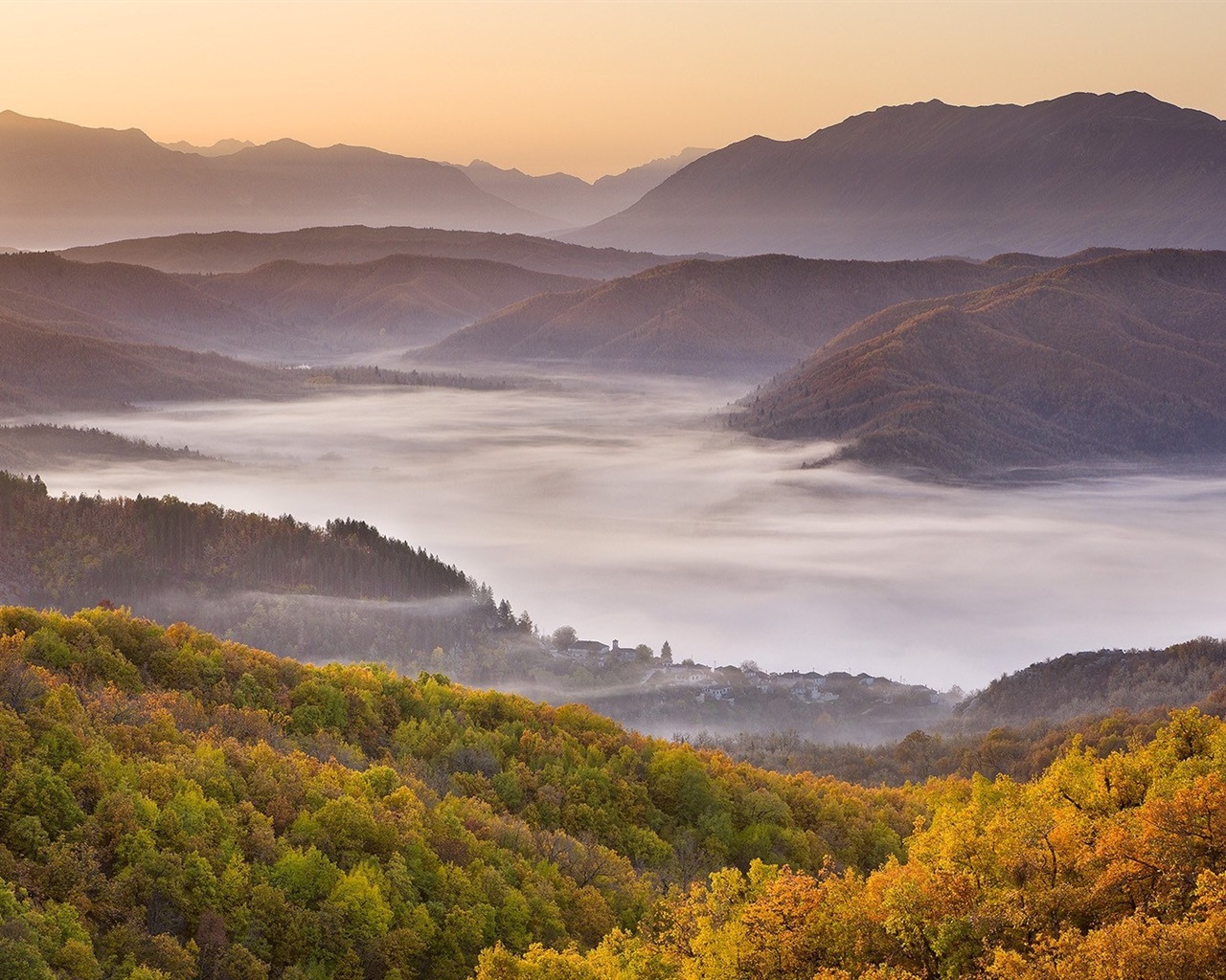 Foggy autumn leaves and trees HD wallpapers #16 - 1280x1024