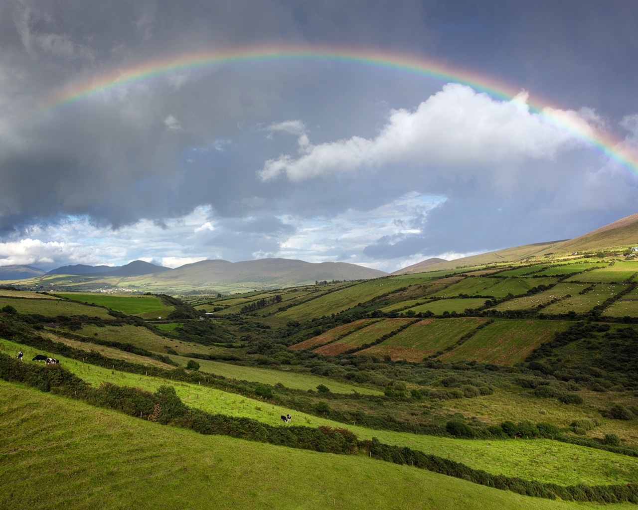 Quiet summer, Windows 8 theme HD wallpapers #17 - 1280x1024