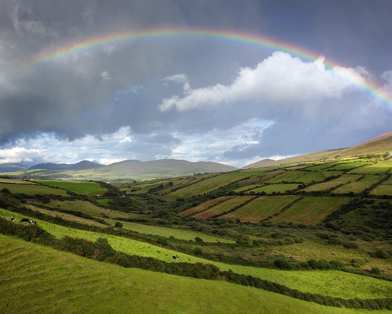 Été calme, fonds d'écran Windows 8 thème HD #17 - 1280x1024