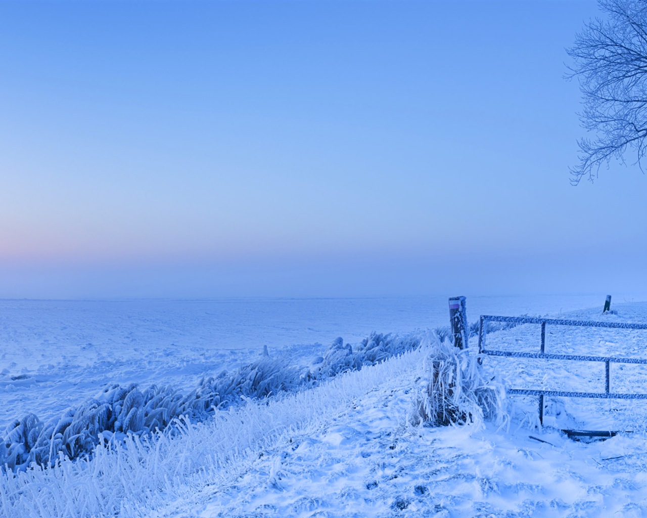 美しい寒い冬の雪、Windows 8のパノラマワイドスクリーンの壁紙 #2 - 1280x1024