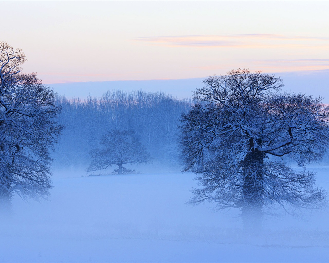 美しい寒い冬の雪、Windows 8のパノラマワイドスクリーンの壁紙 #6 - 1280x1024