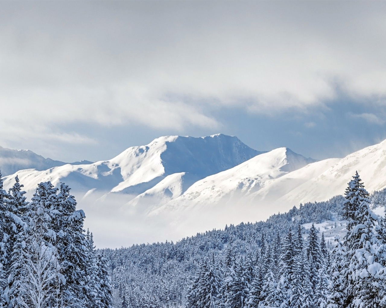 Belle neige froide d'hiver, de Windows 8 fonds d'écran widescreen panoramique #9 - 1280x1024