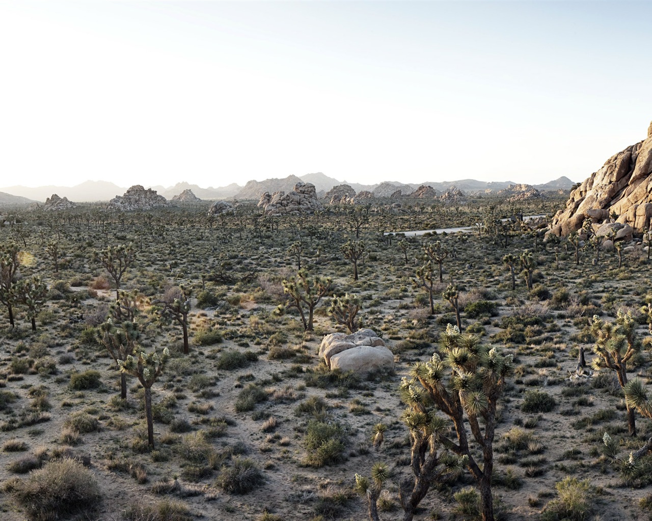 暑くて乾燥した砂漠、Windows 8のパノラマワイドスクリーンの壁紙 #9 - 1280x1024