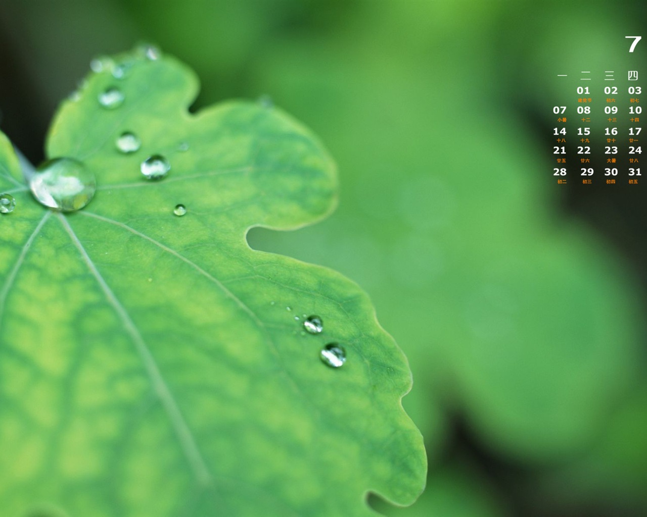 July 2014 calendar wallpaper (1) #20 - 1280x1024