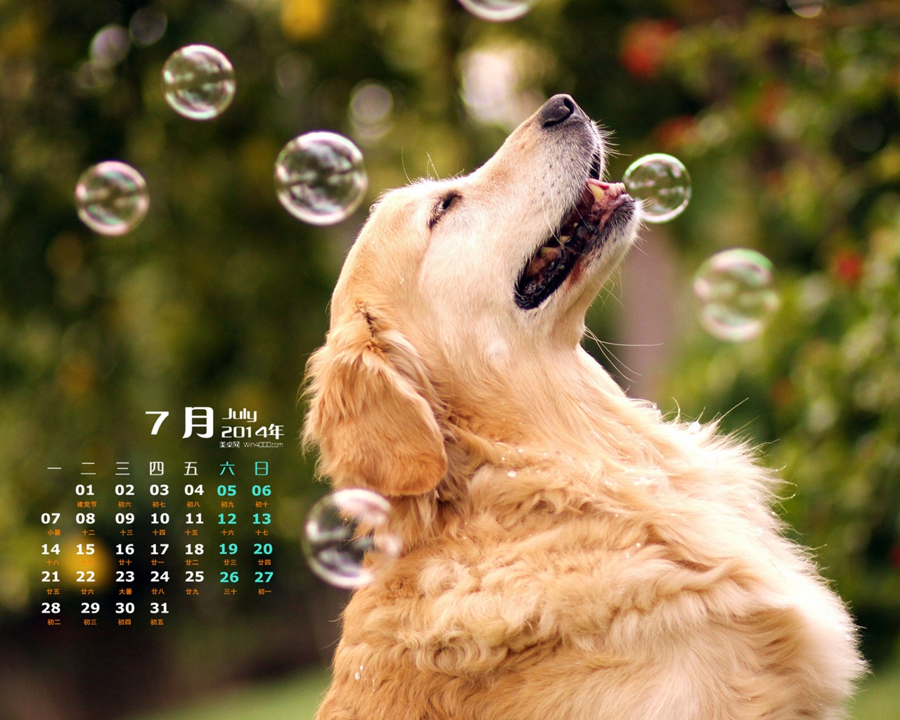 Juli 2014 Kalender Wallpaper (2) #11 - 1280x1024