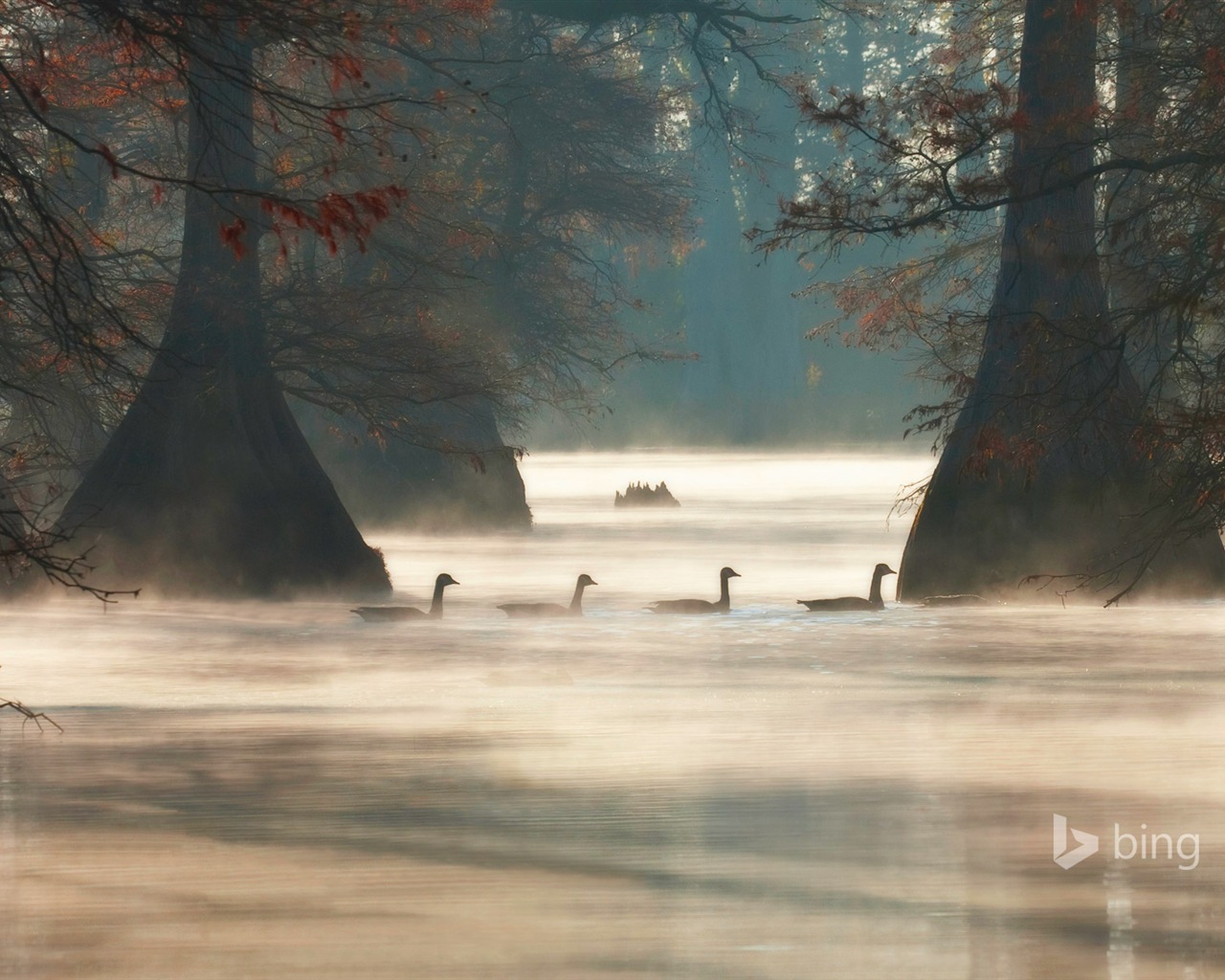 06. 2014 Výběr Bing oficiální wallpaper #15 - 1280x1024