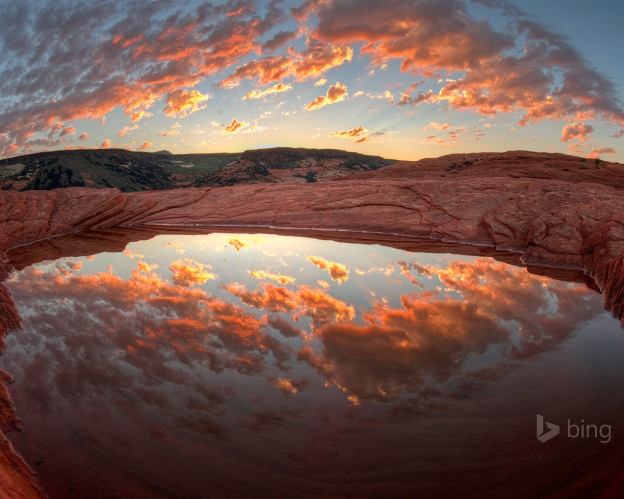 June 2014 Bing official wallpaper selection #17 - 1280x1024