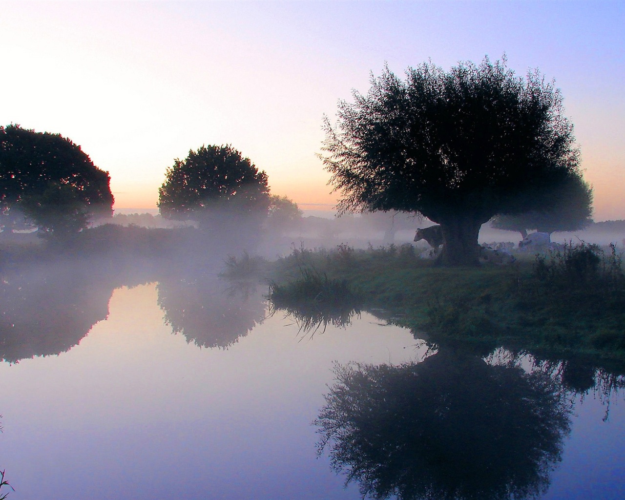 Paisaje brumoso de la mañana, Windows 8 tema de fondo de pantalla #4 - 1280x1024