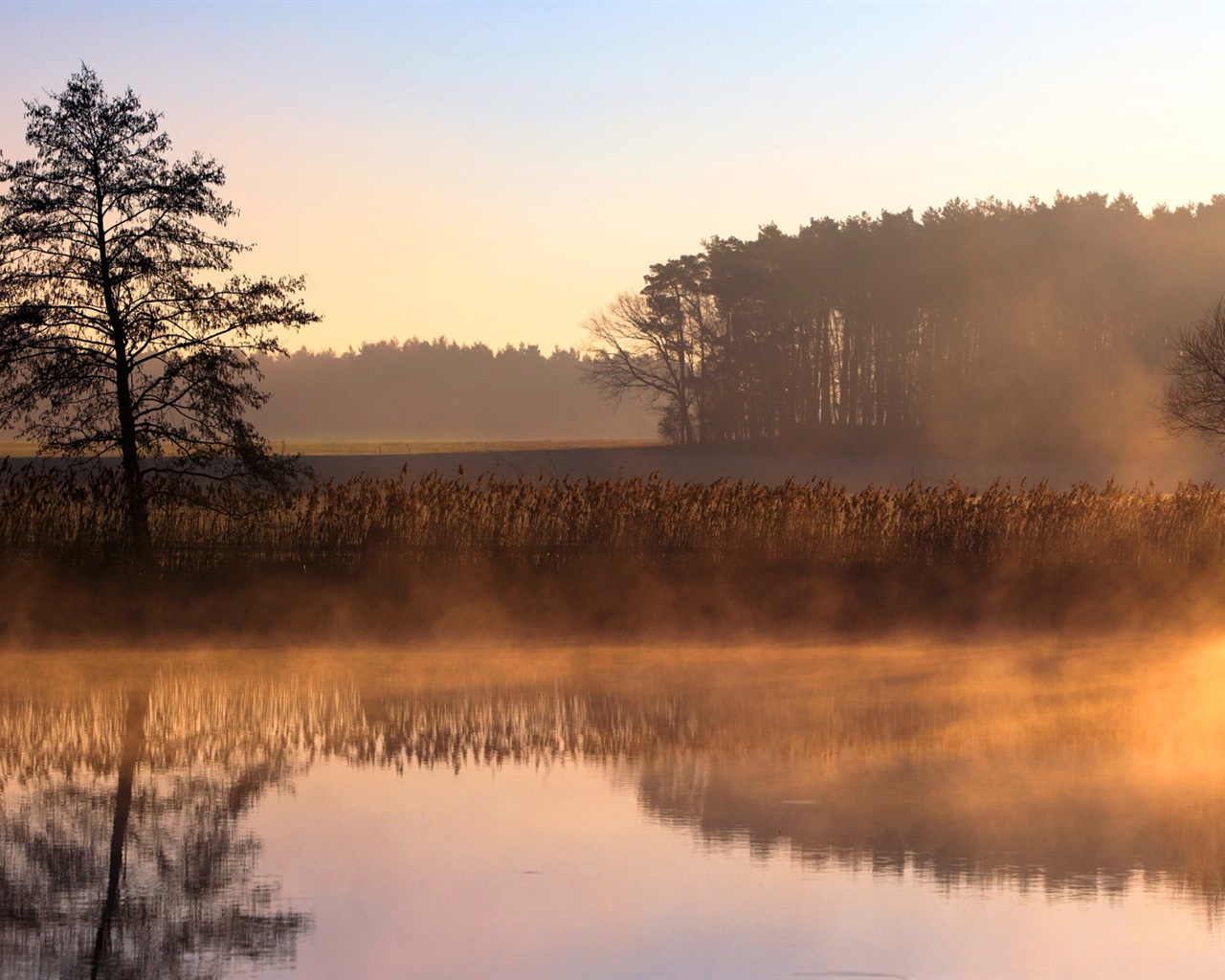 Paysage brumeux matin, Windows 8 écran thème #10 - 1280x1024