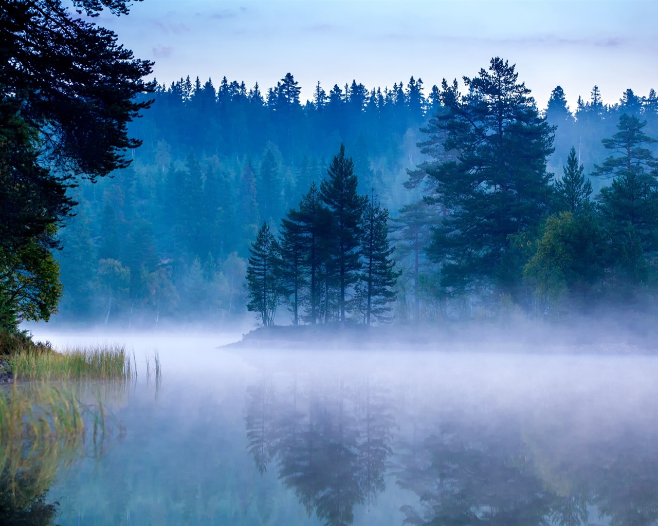Misty morning scenery, Windows 8 theme wallpaper #14 - 1280x1024