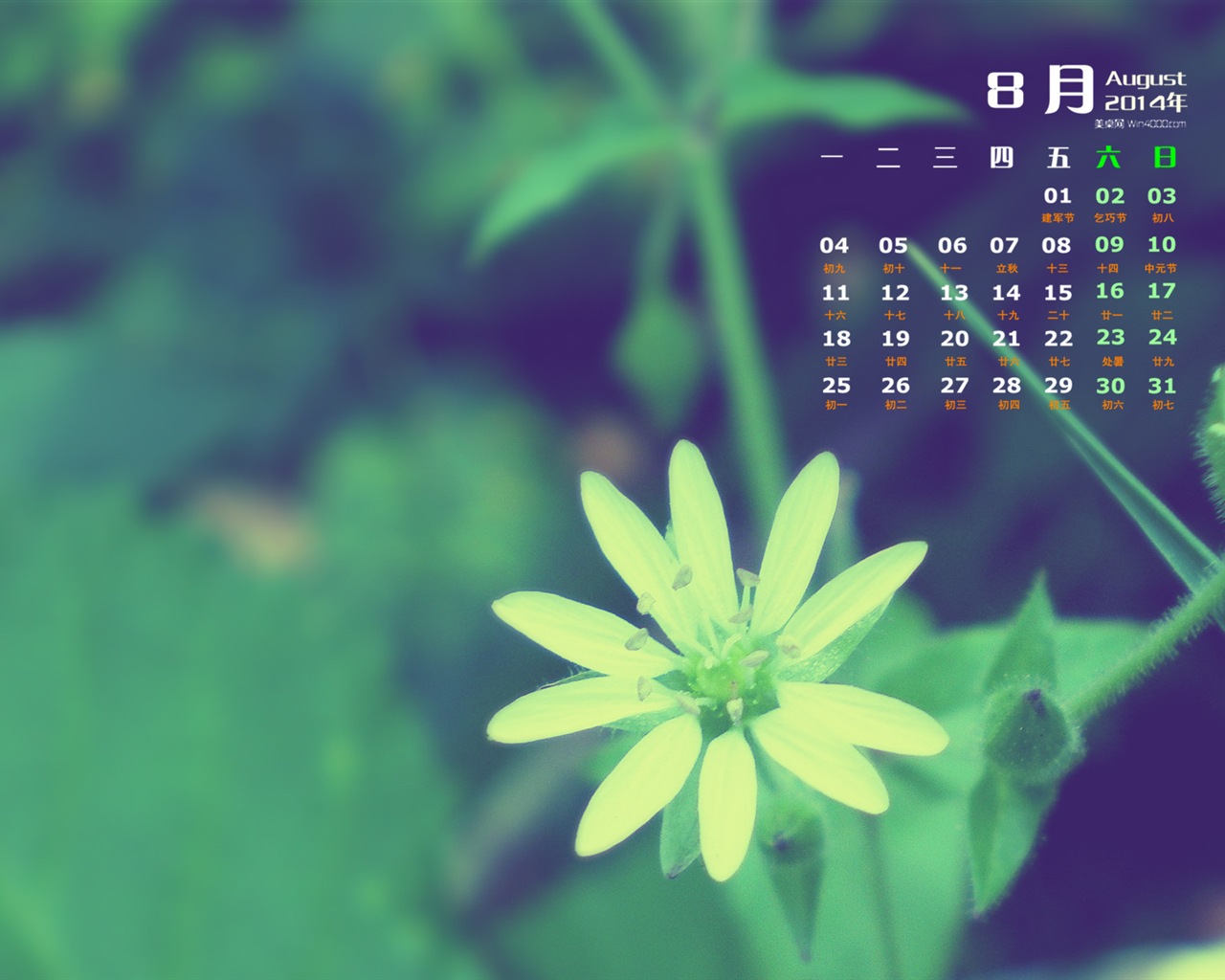 2014年8月 月曆壁紙(一) #15 - 1280x1024