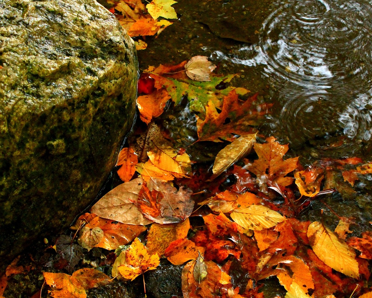 Téma Voda, Windows 8 HD tapety na plochu #13 - 1280x1024