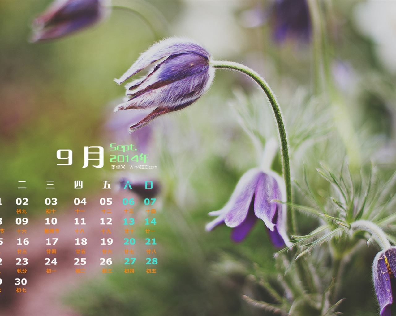 September 2014 Calendar wallpaper (1) #17 - 1280x1024