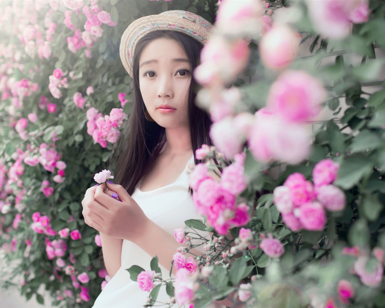 Beautiful girl with roses flower HD wallpapers #1 - 1280x1024