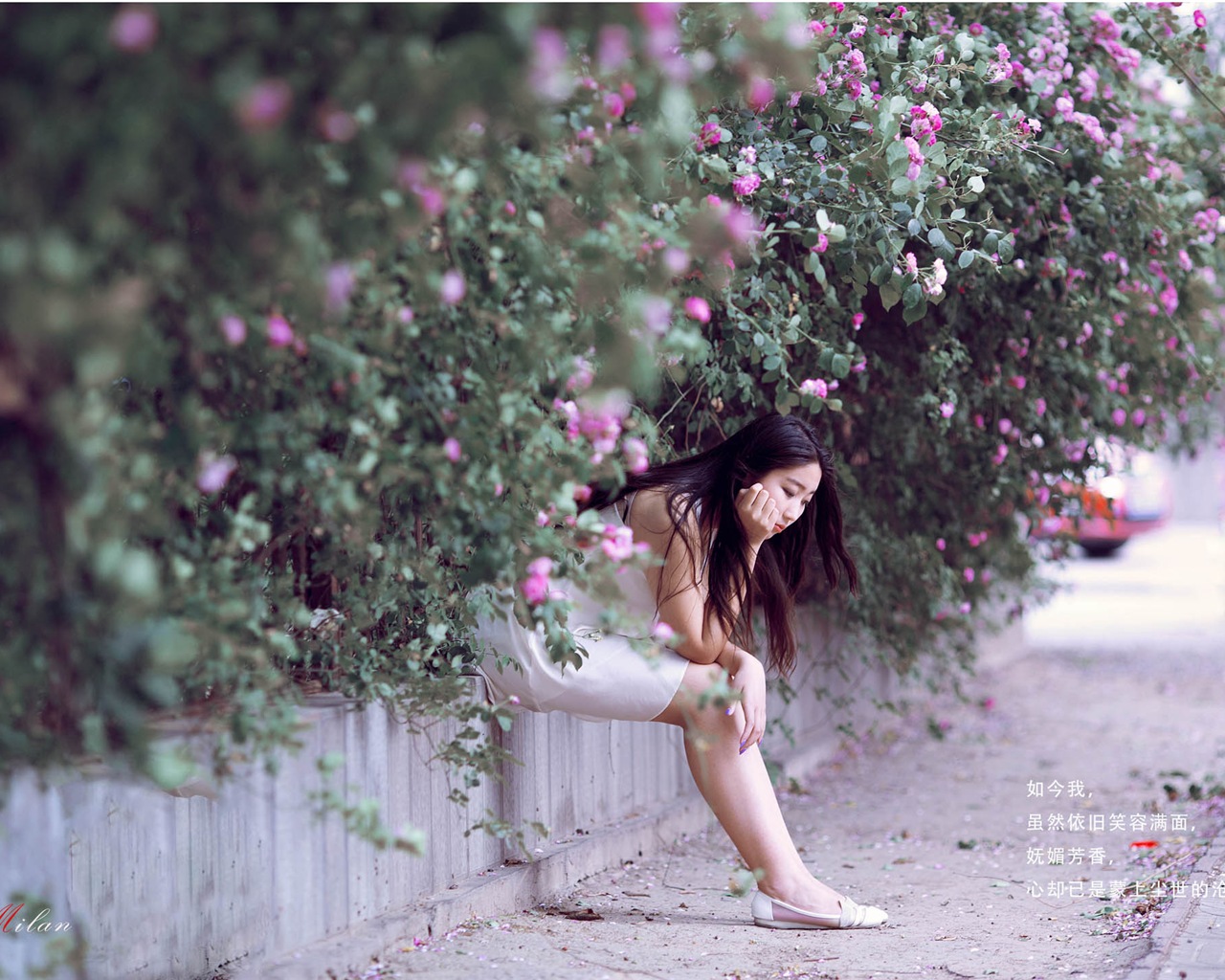 Hermosa chica con fondos de pantalla de alta definición de flores rosas #4 - 1280x1024