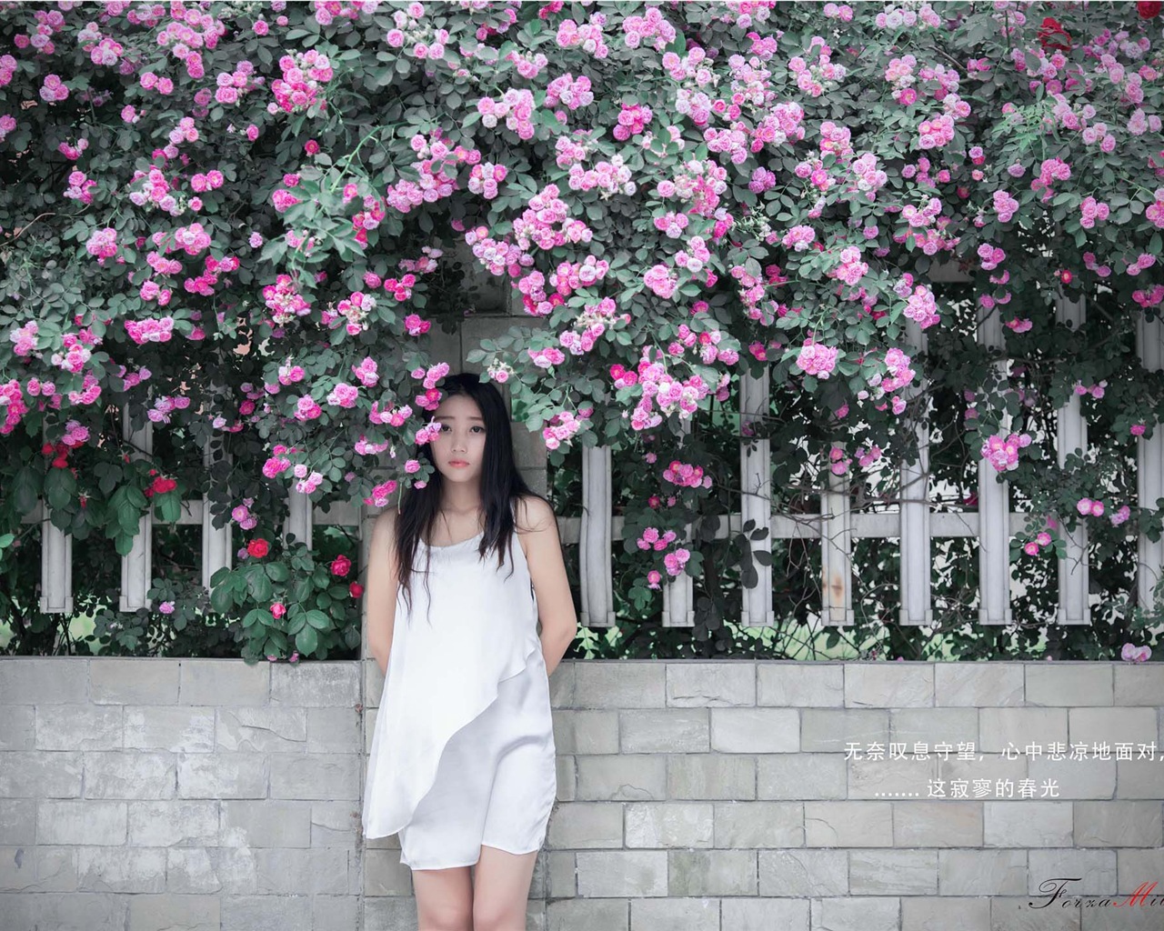 Hermosa chica con fondos de pantalla de alta definición de flores rosas #7 - 1280x1024