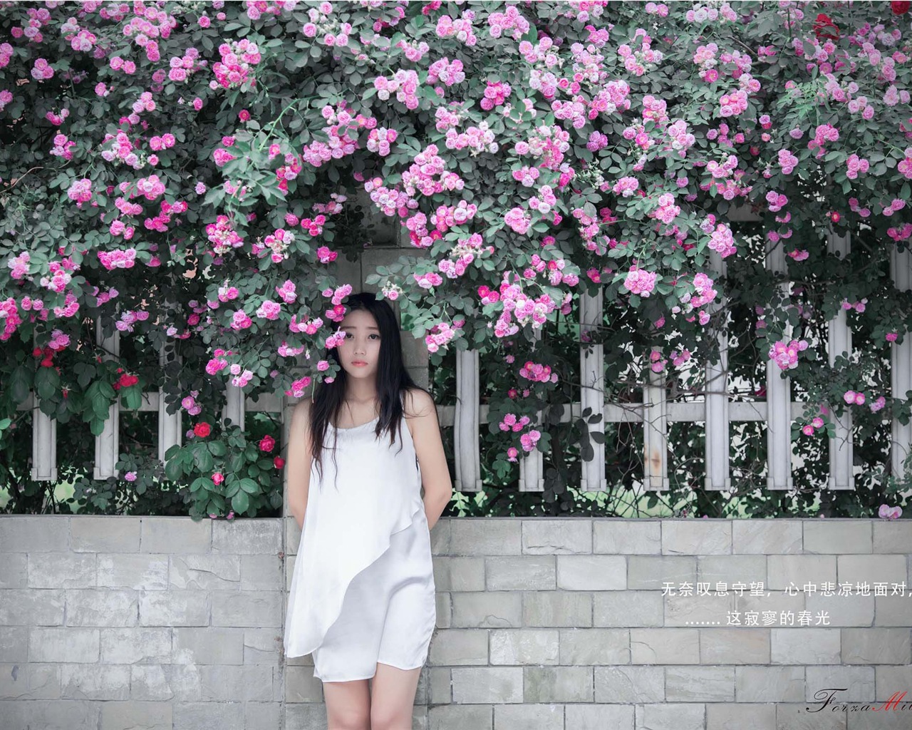 Krásná dívka s růží květ HD tapety #7 - 1280x1024