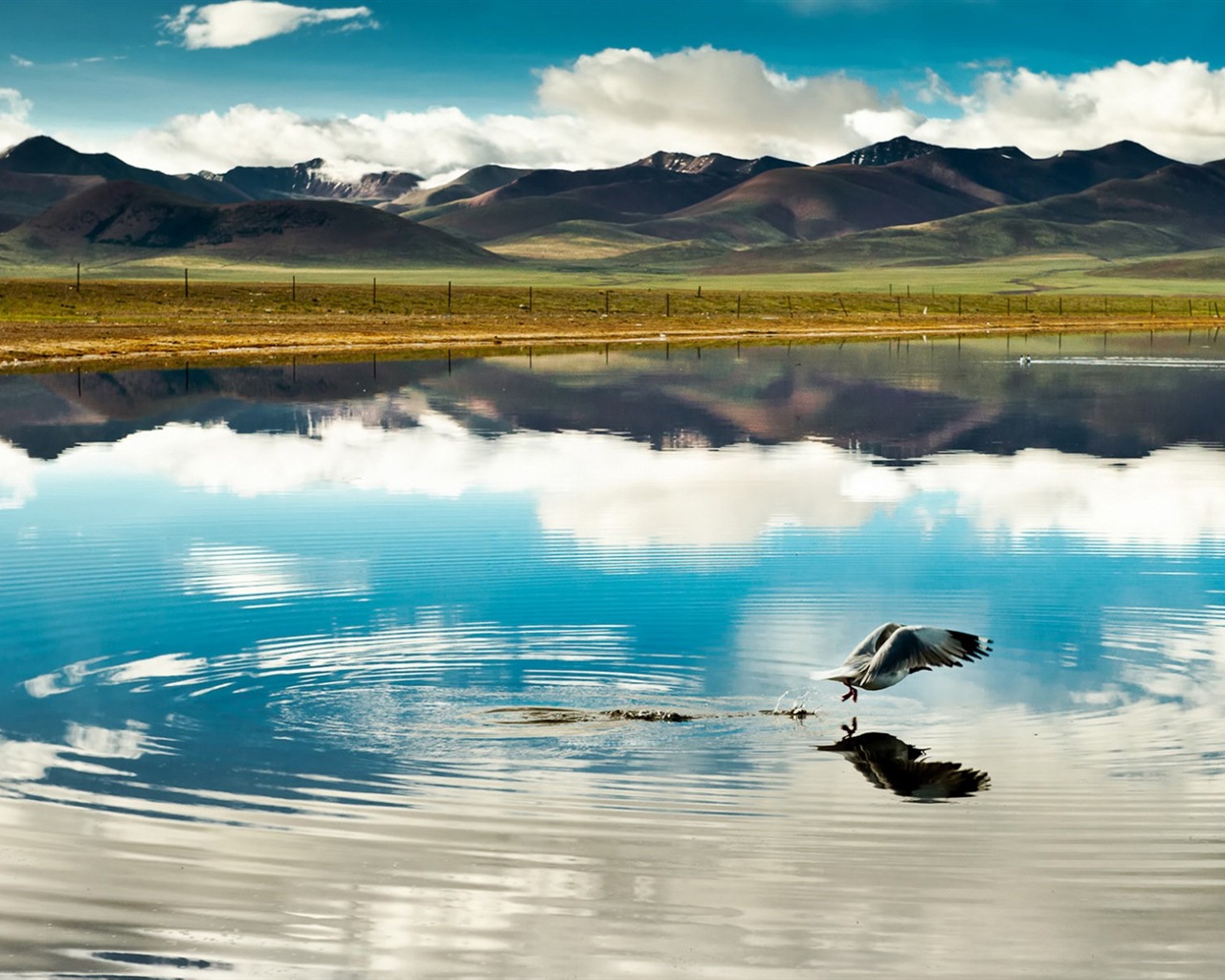 Qinghai Plateau krásné scenérie tapety #2 - 1280x1024