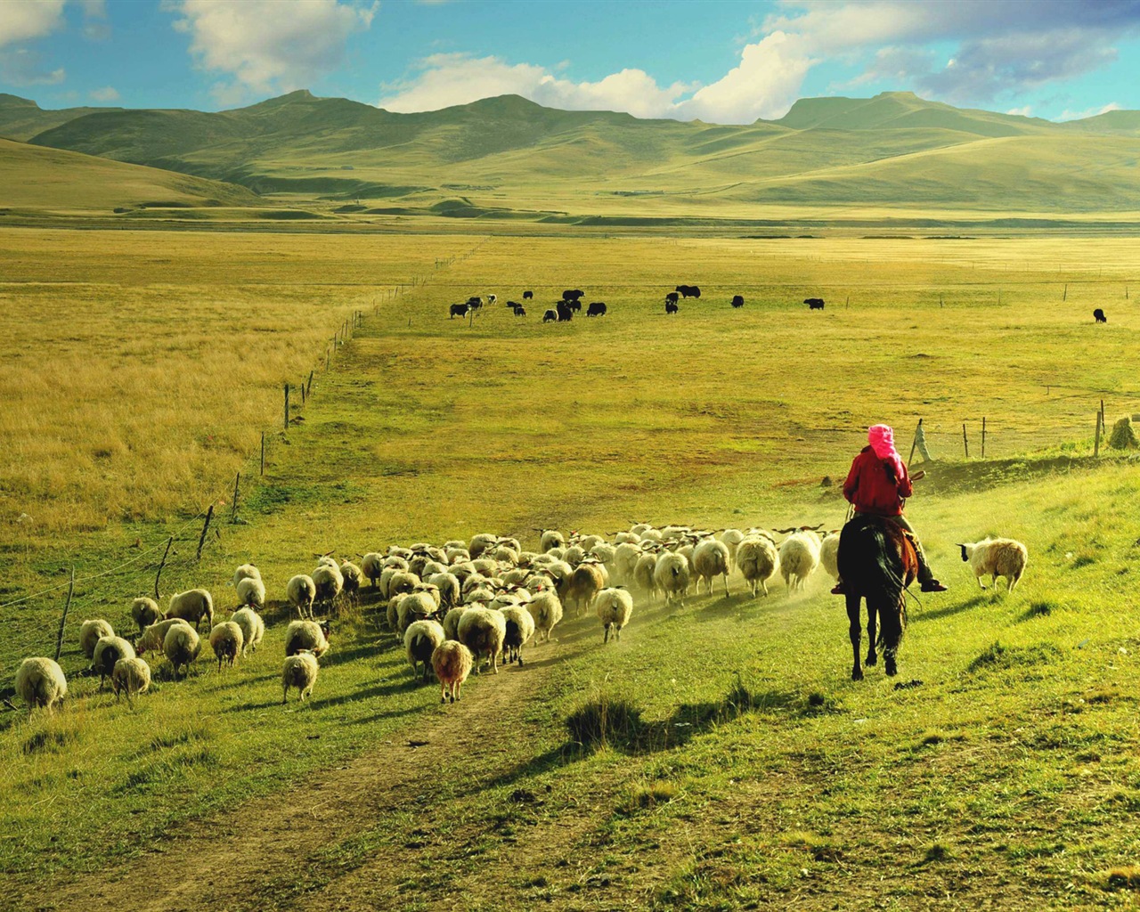Plateau Qinghai beau fond d'écran de paysage #7 - 1280x1024