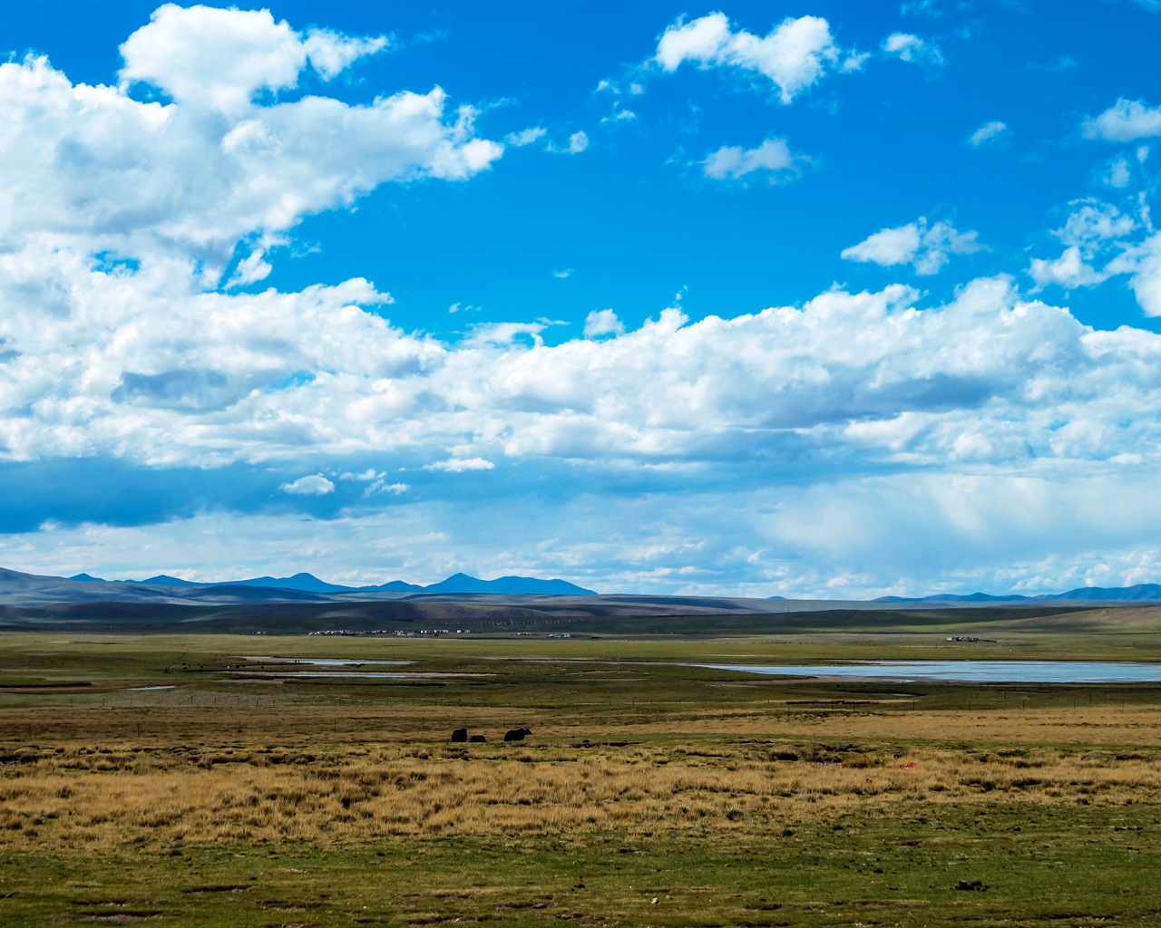 Qinghai Plateau krásné scenérie tapety #18 - 1280x1024