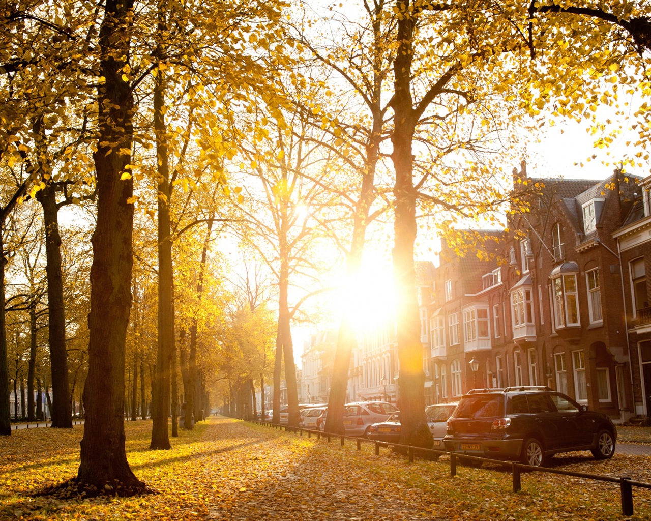 Sunshine forest lakes beauty of nature HD wallpaper #2 - 1280x1024