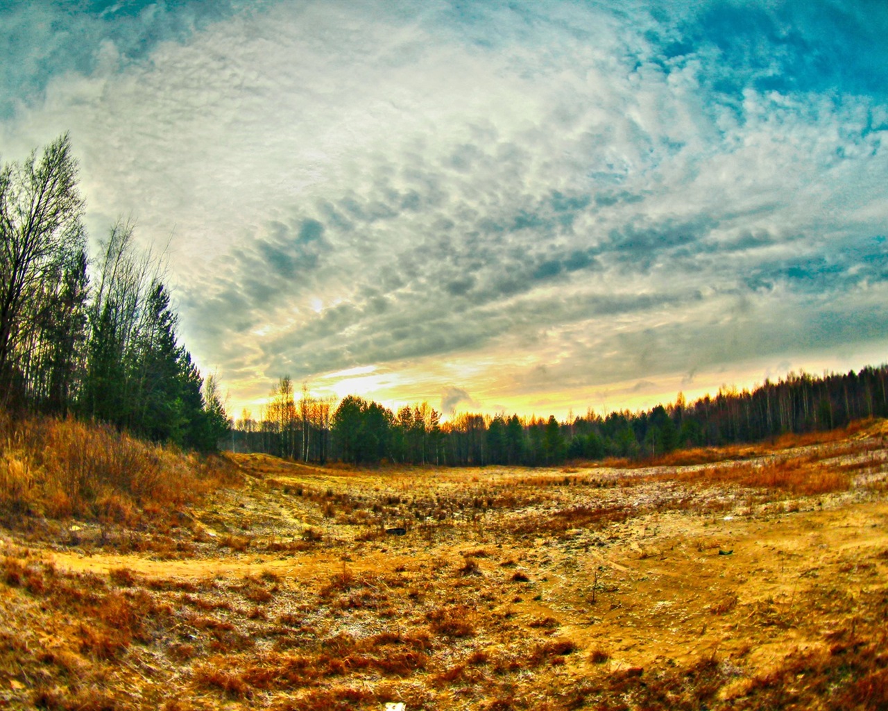 Sunshine lesní jezera krása přírody HD tapetu #8 - 1280x1024