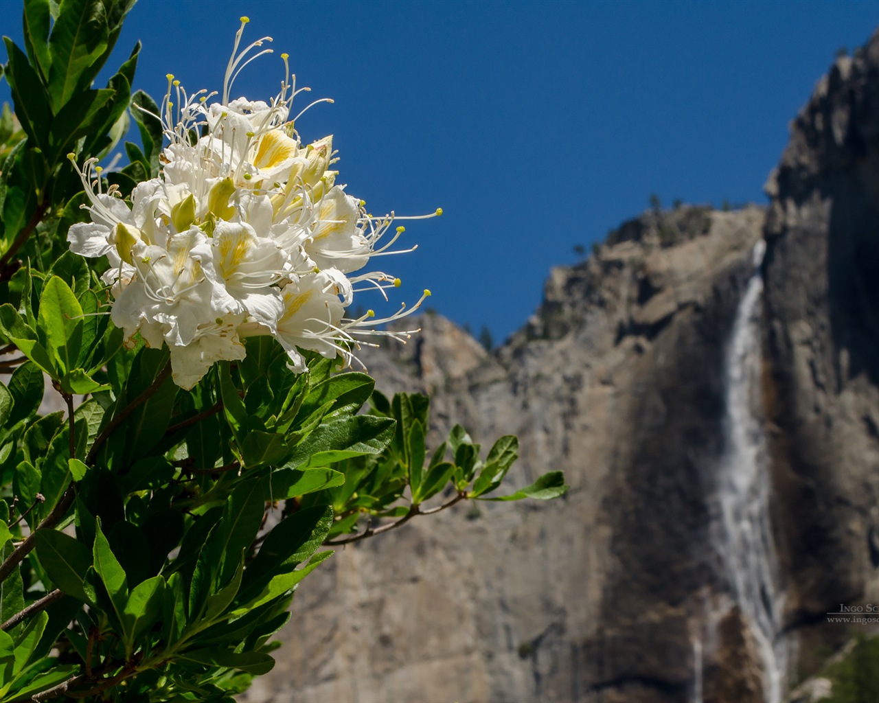 Windows 8 téma, Národní park Yosemite HD tapety na plochu #4 - 1280x1024