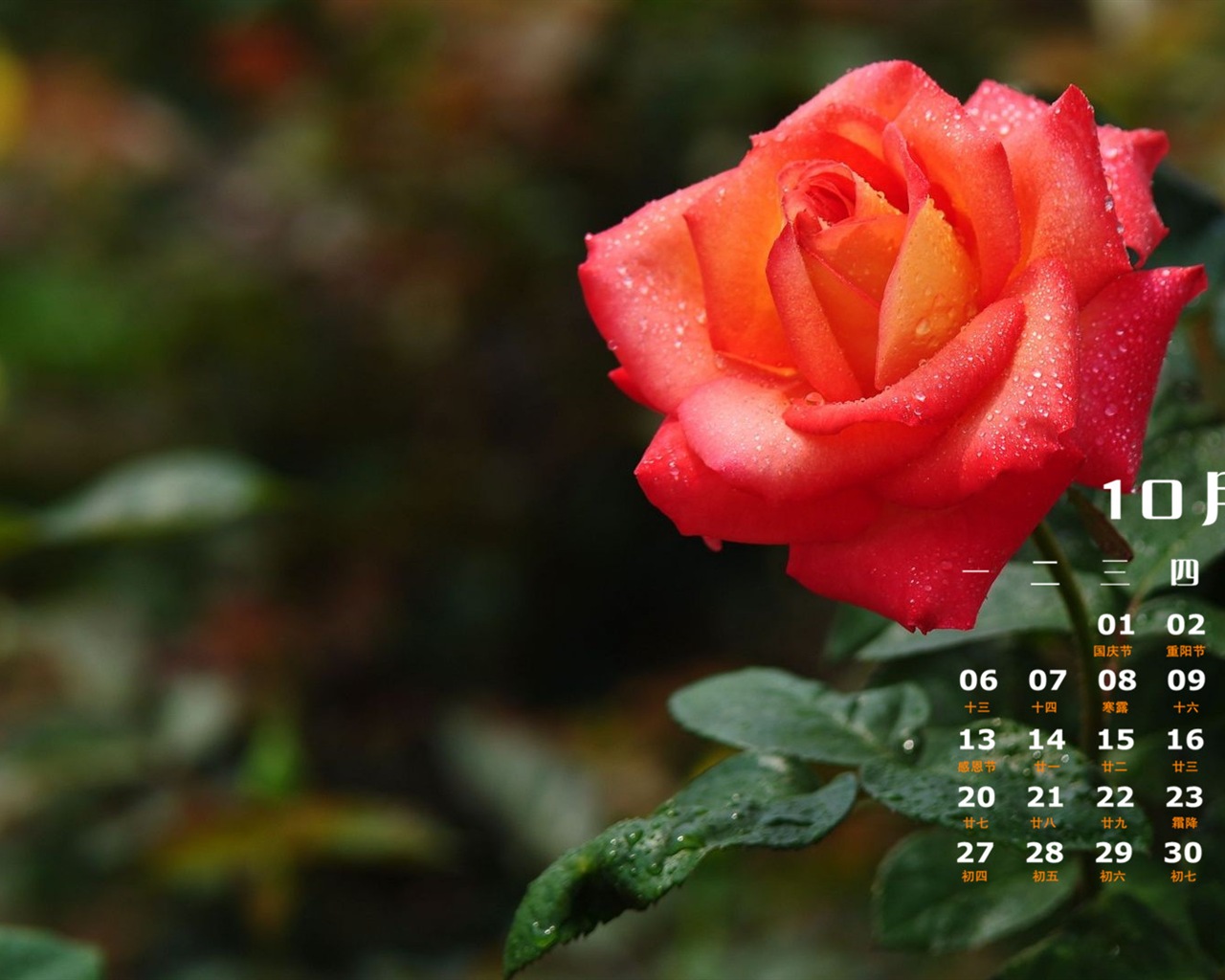 10. 2014 Kalendář tapety (1) #12 - 1280x1024