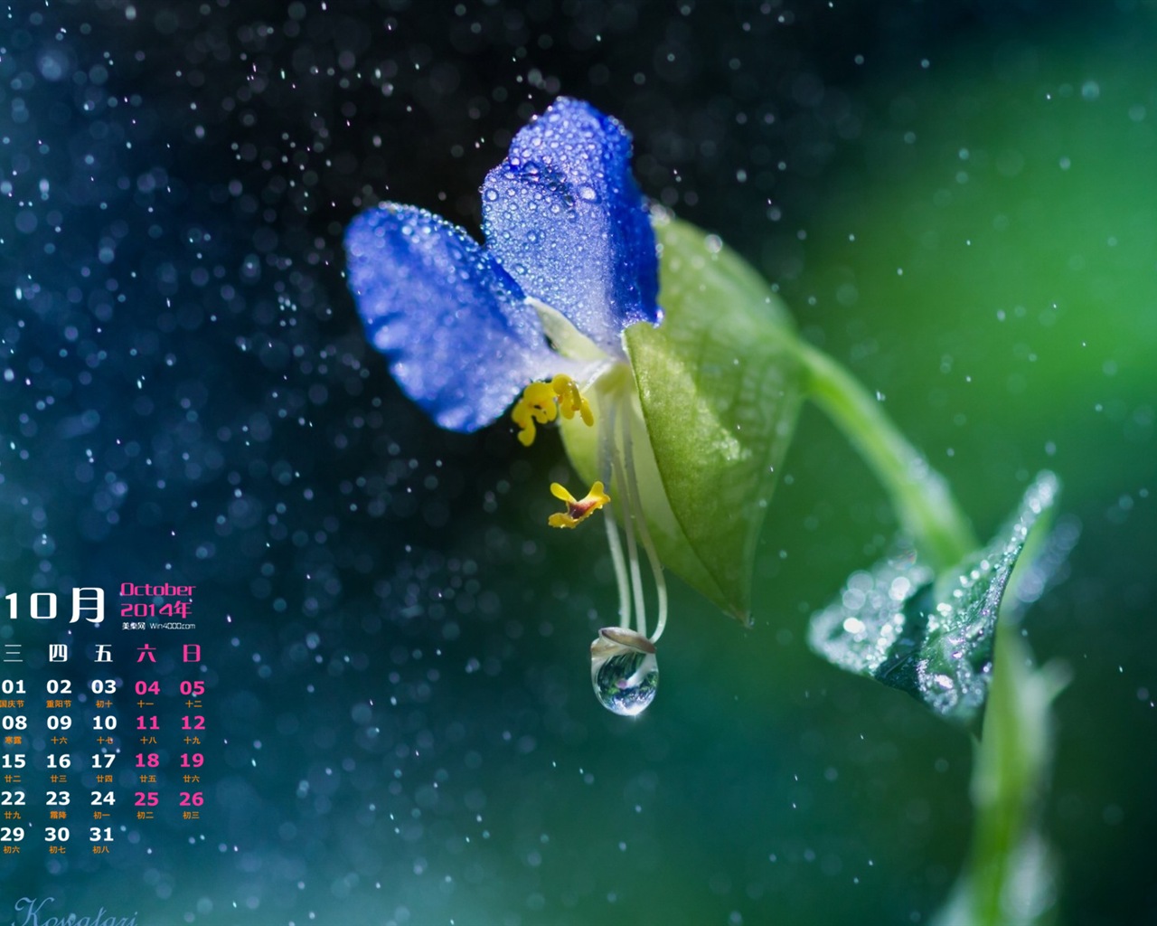 10 2014 wallpaper Calendario (1) #17 - 1280x1024