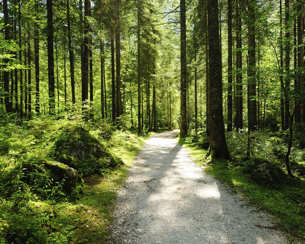 Windows 8 theme wallpaper, footpath HD wallpapers #3 - 1280x1024