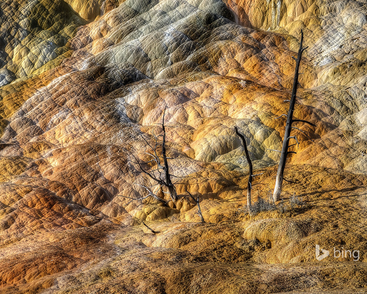 Října 2014 Bing scenérie HD Tapety na plochu #17 - 1280x1024