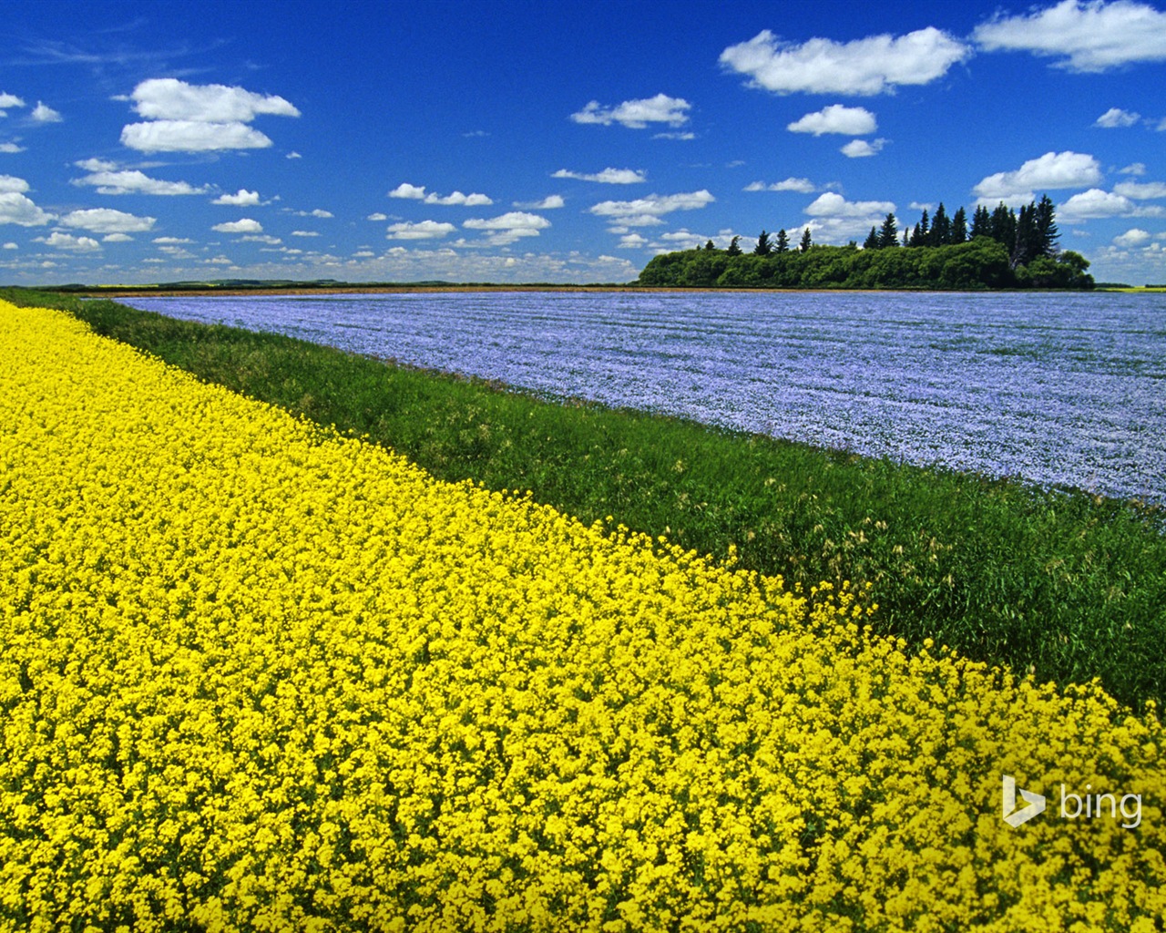 Octobre 2014 Bing fonds d'écran paysages HD #20 - 1280x1024