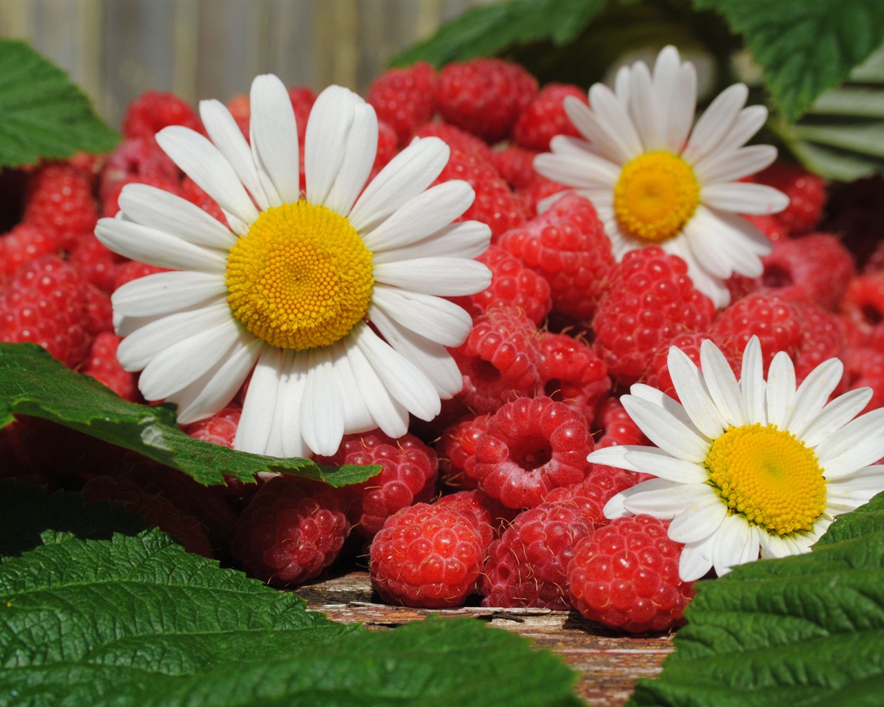 Sweet red raspberry HD wallpapers #2 - 1280x1024