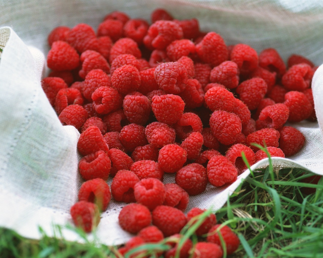 Fondos de pantalla de alta definición de frambuesa roja dulces #3 - 1280x1024