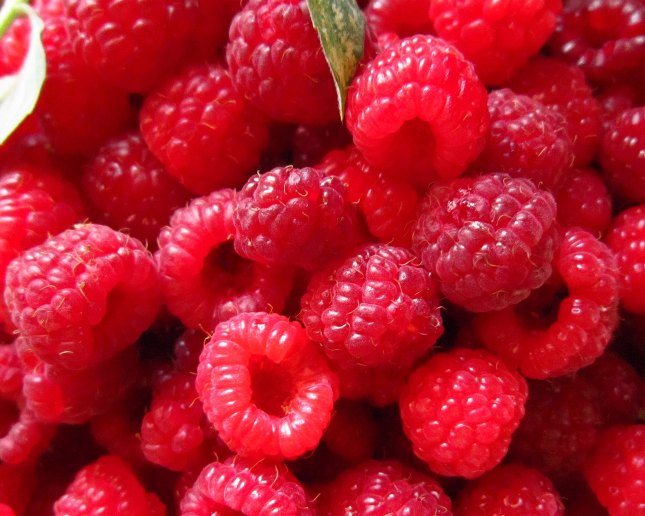 Sweet red raspberry HD wallpapers #4 - 1280x1024
