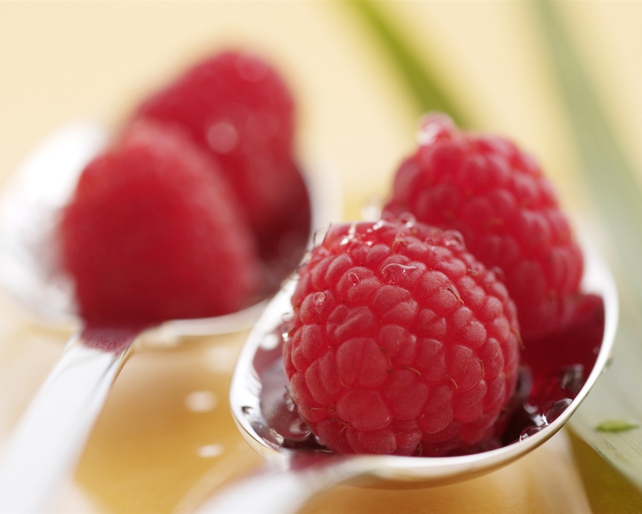 Sweet red raspberry HD wallpapers #7 - 1280x1024