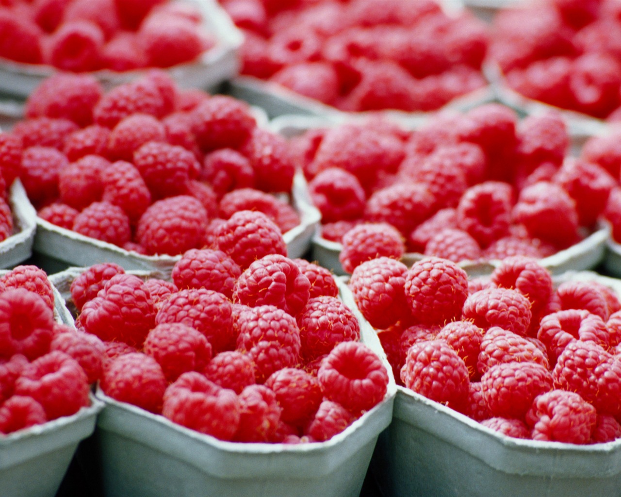 Fondos de pantalla de alta definición de frambuesa roja dulces #8 - 1280x1024