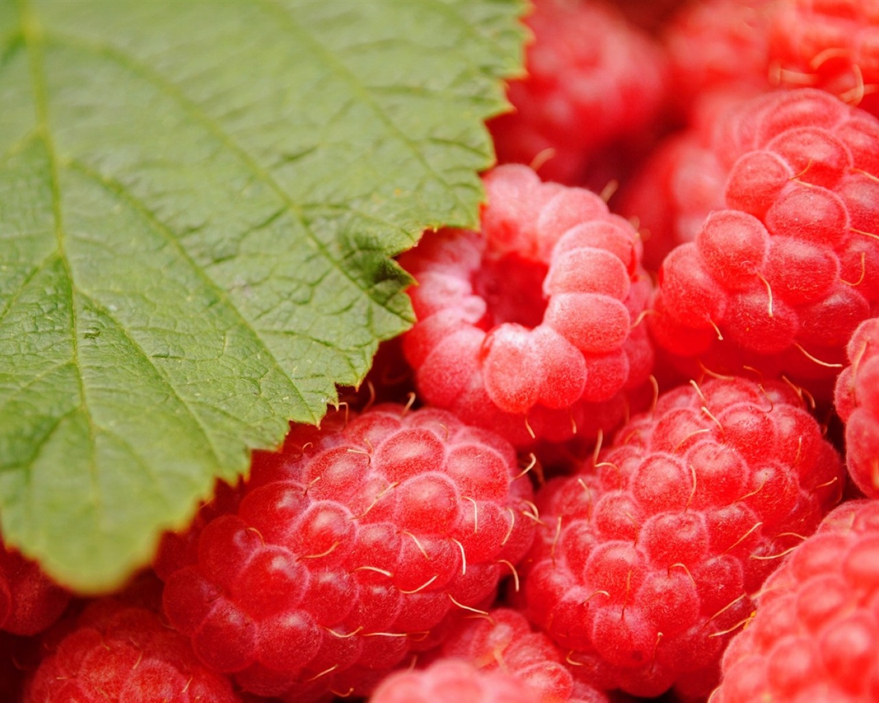 Fondos de pantalla de alta definición de frambuesa roja dulces #9 - 1280x1024