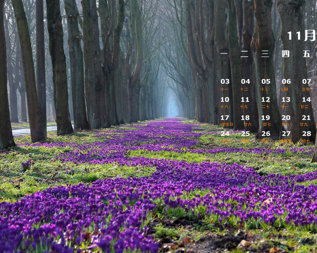 Listopadu 2014 Kalendář tapety (1) #3 - 1280x1024
