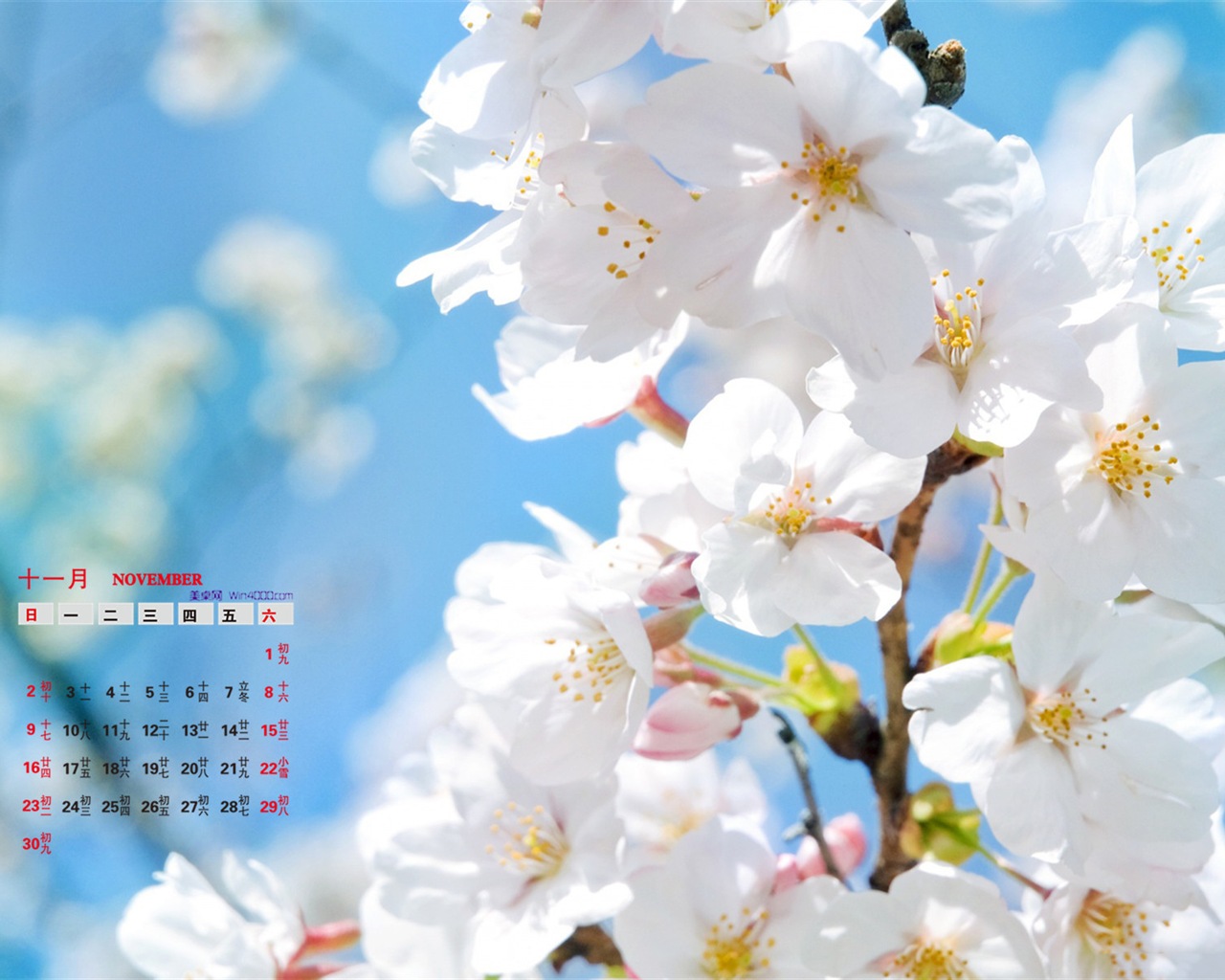 November 2014 Calendar wallpaper(1) #18 - 1280x1024