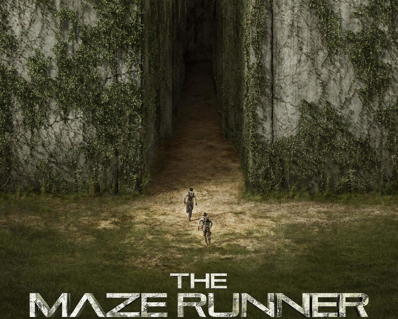 The Maze Runner 移動迷宮 高清電影壁紙 #5 - 1280x1024
