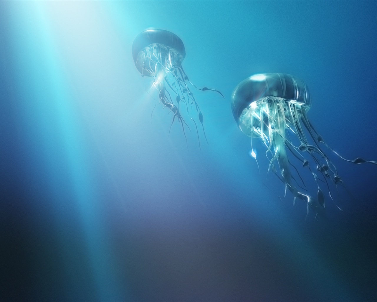 Windows 8 theme wallpaper, jellyfish #15 - 1280x1024