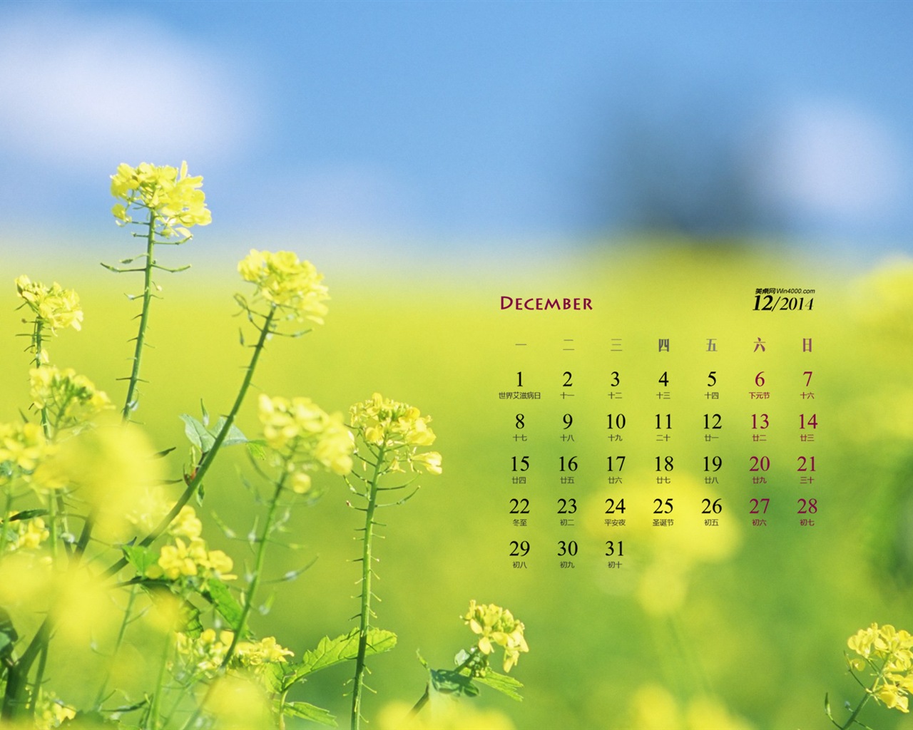 December 2014 Calendar wallpaper (1) #8 - 1280x1024