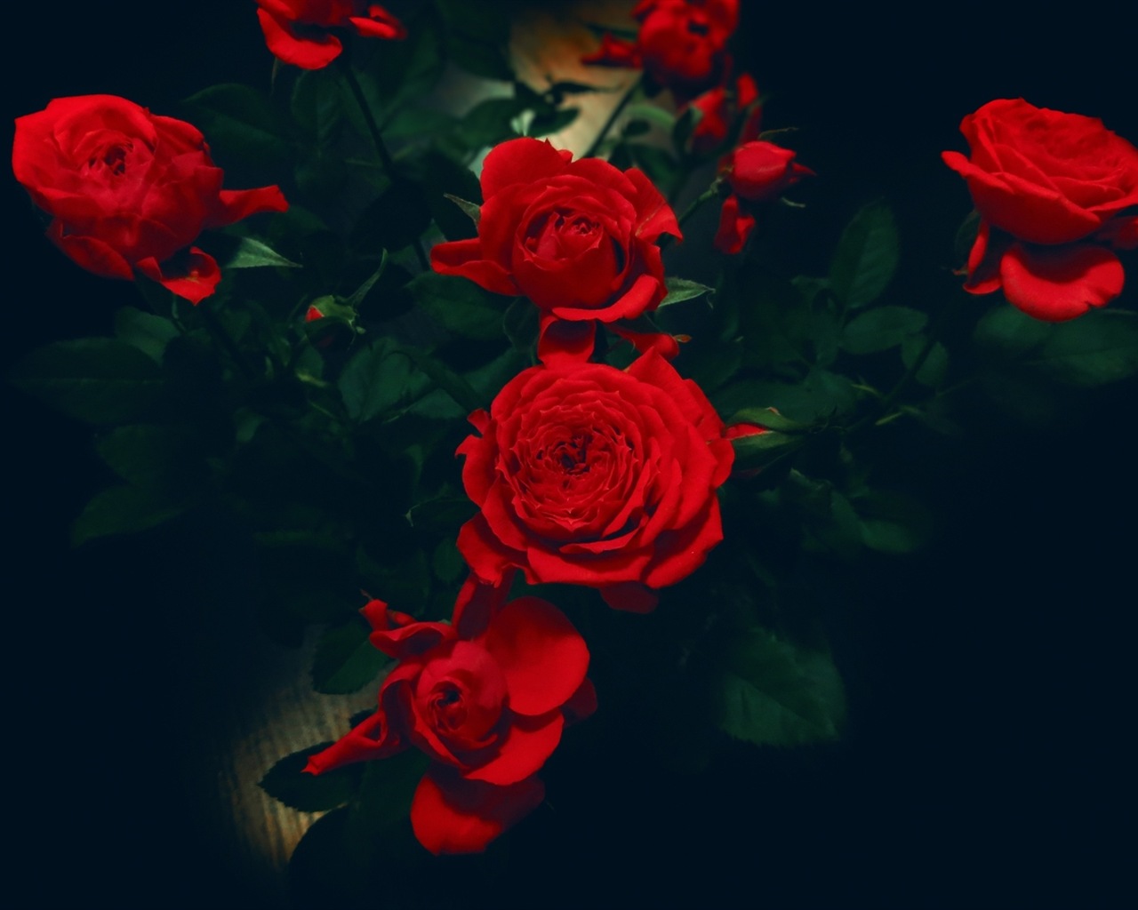Brillante Farben, schöne Blumen HD Wallpaper #12 - 1280x1024