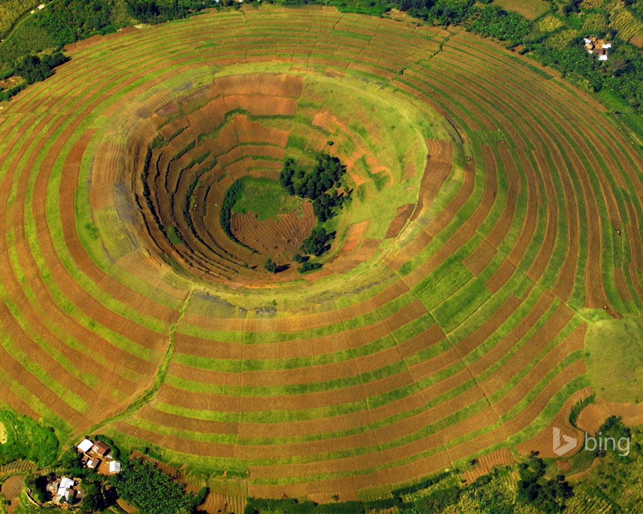 11. 2014 Bing Tapety #4 - 1280x1024