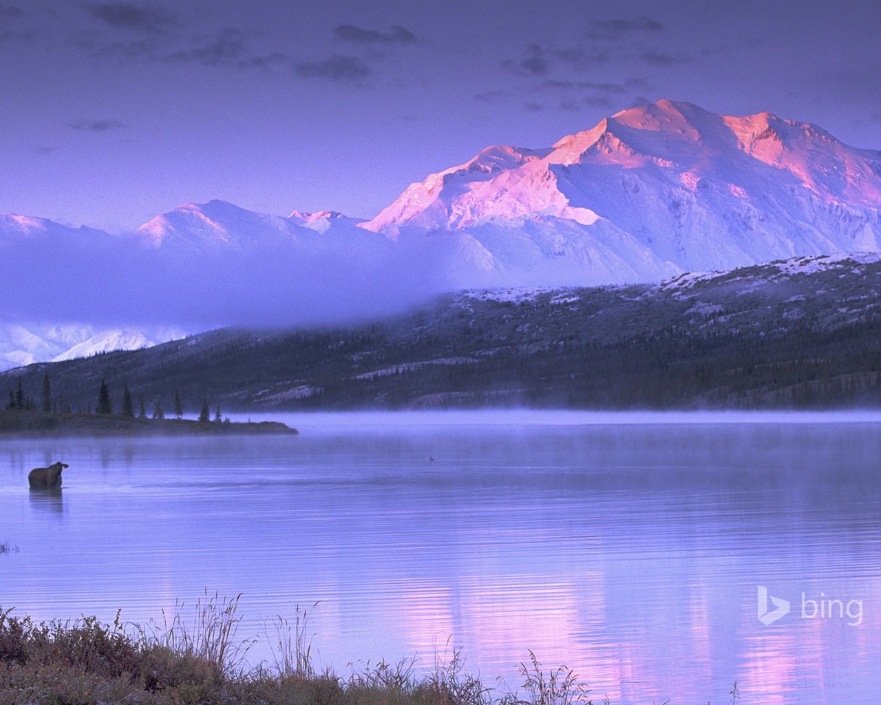 11. 2014 Bing Tapety #7 - 1280x1024