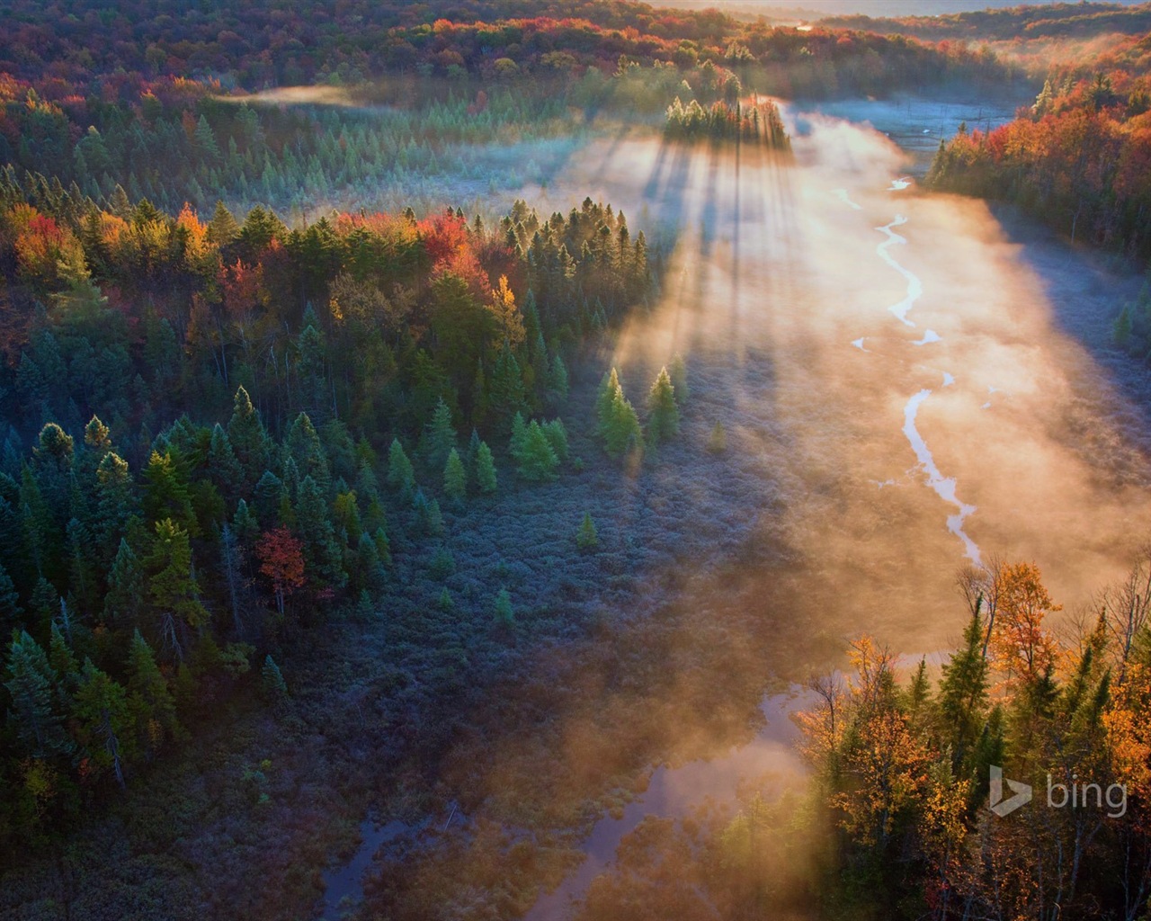 11. 2014 Bing Tapety #9 - 1280x1024